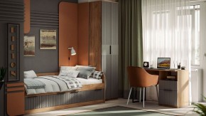 Шкаф платяной Хилтон Исп. 2 в Тарко-Сале - tarko-sale.mebel24.online | фото 5