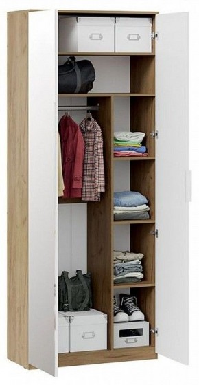 Шкаф платяной Хилтон Исп. 2.1 в Тарко-Сале - tarko-sale.mebel24.online | фото 4
