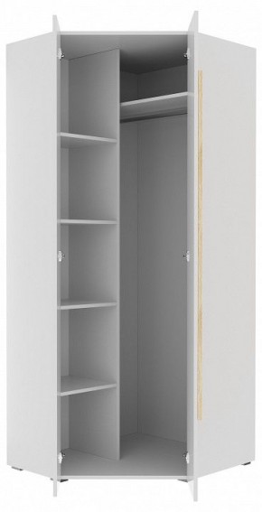 Шкаф платяной Куба 1725.М3 в Тарко-Сале - tarko-sale.mebel24.online | фото 11