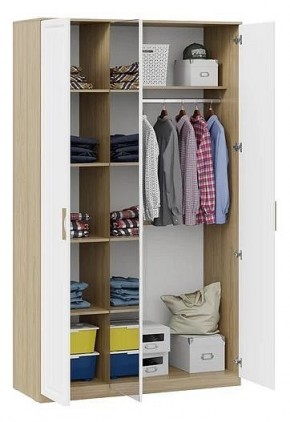 Шкаф платяной Сэнди в Тарко-Сале - tarko-sale.mebel24.online | фото 3