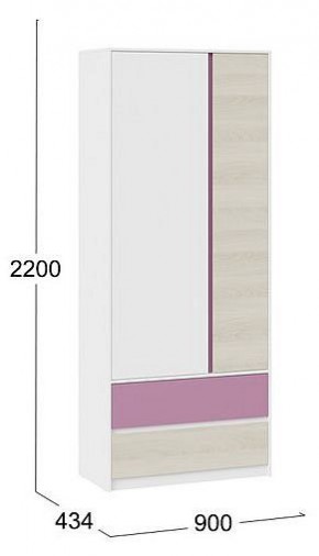 Шкаф платяной Сканди в Тарко-Сале - tarko-sale.mebel24.online | фото 5