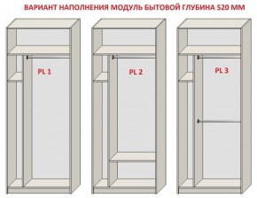 Шкаф распашной серия «ЗЕВС» (PL3/С1/PL2) Серый камень/Небраска натуральный в Тарко-Сале - tarko-sale.mebel24.online | фото 5