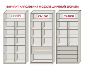 Шкаф распашной серия «ЗЕВС» (PL3/С1/PL2) Серый камень/Небраска натуральный в Тарко-Сале - tarko-sale.mebel24.online | фото 7