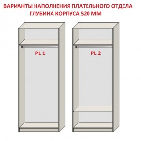 Шкаф распашной серия «ЗЕВС» (PL3/С1/PL2) Серый камень/Небраска натуральный в Тарко-Сале - tarko-sale.mebel24.online | фото 9