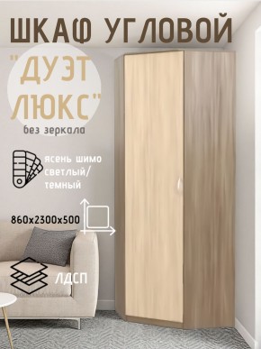 Шкаф угловой Дуэт Люкс без зеркала в Тарко-Сале - tarko-sale.mebel24.online | фото 7