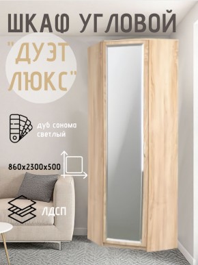 Шкаф угловой Дуэт Люкс с зеркалом в Тарко-Сале - tarko-sale.mebel24.online | фото