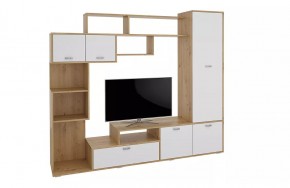 Стенка Диско (СТЛ.150.01) Дуб дикий/Белый в Тарко-Сале - tarko-sale.mebel24.online | фото