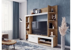 Стенка для гостиной Касэль в Тарко-Сале - tarko-sale.mebel24.online | фото 2