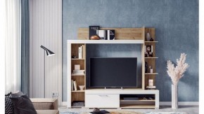 Стенка для гостиной Касэль в Тарко-Сале - tarko-sale.mebel24.online | фото 3