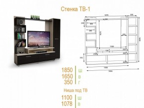 Стенка для гостиной ТВ-1 в Тарко-Сале - tarko-sale.mebel24.online | фото 2