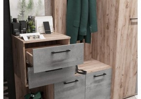 Стенка для прихожей Бостон в Тарко-Сале - tarko-sale.mebel24.online | фото 4