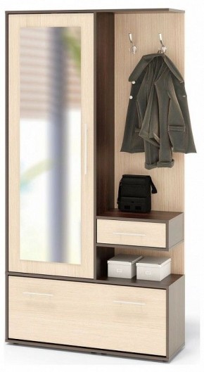 Стенка для прихожей ВШ-6 в Тарко-Сале - tarko-sale.mebel24.online | фото