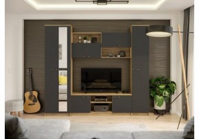 Стенки для гостиной Бертелена в Тарко-Сале - tarko-sale.mebel24.online | фото 2