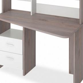 Стол компьютерный Домино Лайт СКЛ-Трап120+НКЛ-120 в Тарко-Сале - tarko-sale.mebel24.online | фото 2