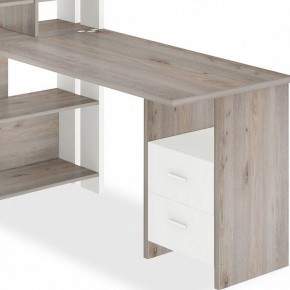 Стол компьютерный Домино Лайт СТЛ-ОВХ+С120Прям в Тарко-Сале - tarko-sale.mebel24.online | фото 2