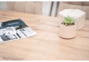 Стол обеденный Тринити Лофт 120 в Тарко-Сале - tarko-sale.mebel24.online | фото 6