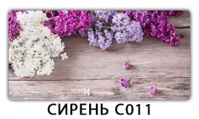 Стол раздвижной Трилогия с фотопечатью Доска D110 в Тарко-Сале - tarko-sale.mebel24.online | фото 16