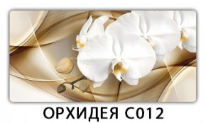Стол раздвижной Трилогия с фотопечатью Доска D112 в Тарко-Сале - tarko-sale.mebel24.online | фото 13
