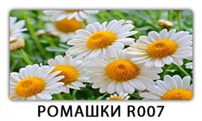 Стол раздвижной Трилогия с фотопечатью Доска D112 в Тарко-Сале - tarko-sale.mebel24.online | фото 15