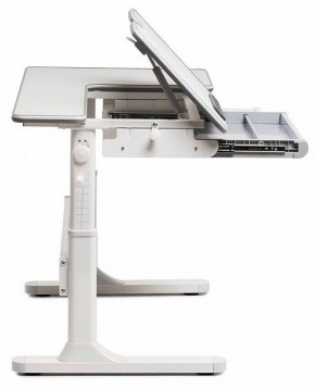 Стол учебный FIORE в Тарко-Сале - tarko-sale.mebel24.online | фото 3