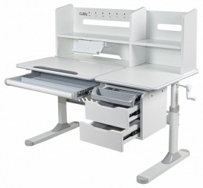 Стол учебный Ortensia II в Тарко-Сале - tarko-sale.mebel24.online | фото 3