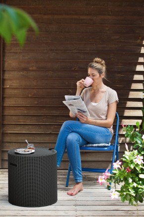 Столик-холодильник Кул-Стул (Cool stool) коричневый в Тарко-Сале - tarko-sale.mebel24.online | фото 2