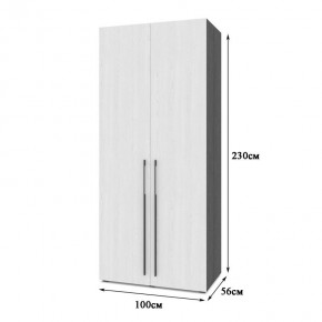 СТОУН С22 Шкаф 2-х створчатый (серый дуб/белый) в Тарко-Сале - tarko-sale.mebel24.online | фото 2