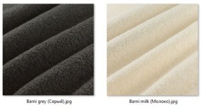 Стул Нерон (2 шт.) арт. С189 в Тарко-Сале - tarko-sale.mebel24.online | фото 38