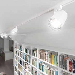 Светильник на штанге Feron AL100 41607 в Тарко-Сале - tarko-sale.mebel24.online | фото 7