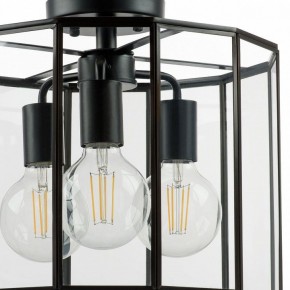 Светильник на штанге Lightstar Genni 798237 в Тарко-Сале - tarko-sale.mebel24.online | фото 4