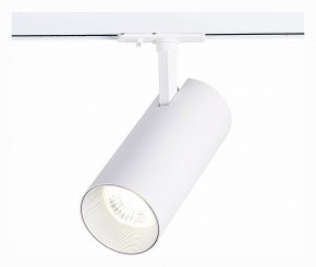 Светильник на штанге ST-Luce Mono ST350.536.30.36 в Тарко-Сале - tarko-sale.mebel24.online | фото 2