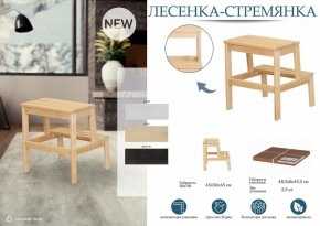Табурет Стремянка в Тарко-Сале - tarko-sale.mebel24.online | фото 4