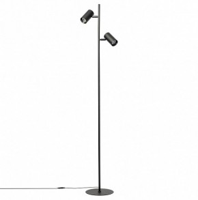 Торшер Citilux Twin CL809011N в Тарко-Сале - tarko-sale.mebel24.online | фото