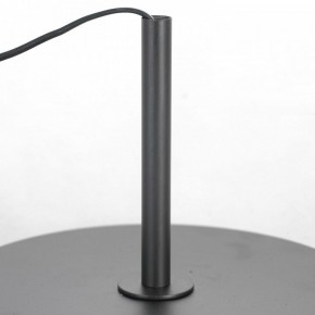 Торшер Lussole  LSP-0590 в Тарко-Сале - tarko-sale.mebel24.online | фото 3