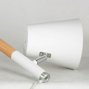 Торшер Lussole Buckeye LSP-0628 в Тарко-Сале - tarko-sale.mebel24.online | фото 4