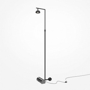 Торшер Maytoni Pikant MOD372FL-L10B3K в Тарко-Сале - tarko-sale.mebel24.online | фото 2