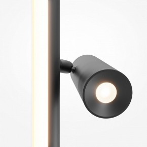Торшер Maytoni Thin MOD395FL-L28B3K в Тарко-Сале - tarko-sale.mebel24.online | фото 6