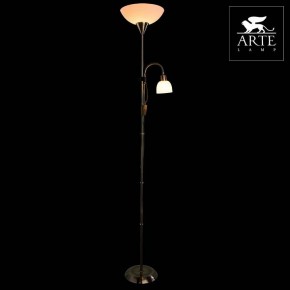 Торшер с подсветкой Arte Lamp Duetto A9569PN-2AB в Тарко-Сале - tarko-sale.mebel24.online | фото 3