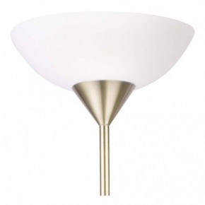 Торшер с подсветкой Arte Lamp Duetto A9569PN-2AB в Тарко-Сале - tarko-sale.mebel24.online | фото 5