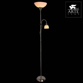 Торшер с подсветкой Arte Lamp Duetto A9569PN-2SS в Тарко-Сале - tarko-sale.mebel24.online | фото 3