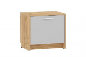 Тумба для обуви НМ 013.23 "Нортон" (Крафт Золотой) в Тарко-Сале - tarko-sale.mebel24.online | фото