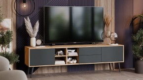 Тумба под ТВ Тип 5 в Тарко-Сале - tarko-sale.mebel24.online | фото 5