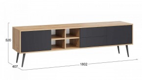 Тумба под ТВ Тип 5 в Тарко-Сале - tarko-sale.mebel24.online | фото 6