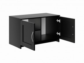 Тумба СИРИУС двухдверная низкая, цвет Дуб Венге в Тарко-Сале - tarko-sale.mebel24.online | фото 3