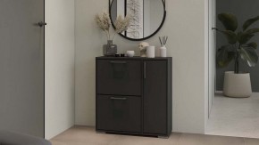 Тумбочка для обуви Тип 15 в Тарко-Сале - tarko-sale.mebel24.online | фото 5
