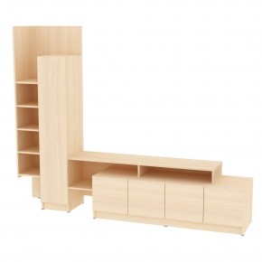 ТВ стенка TV45 в Тарко-Сале - tarko-sale.mebel24.online | фото 10