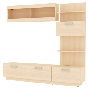 ТВ стенка TV48 в Тарко-Сале - tarko-sale.mebel24.online | фото 10