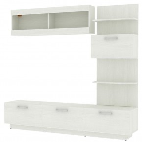 ТВ стенка TV48 в Тарко-Сале - tarko-sale.mebel24.online | фото 18