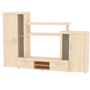 ТВ стенка TV51 в Тарко-Сале - tarko-sale.mebel24.online | фото 10