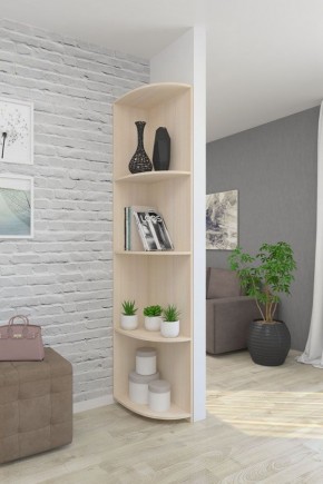 Угловой элемент ЛДСП 1 кат. в Тарко-Сале - tarko-sale.mebel24.online | фото 4